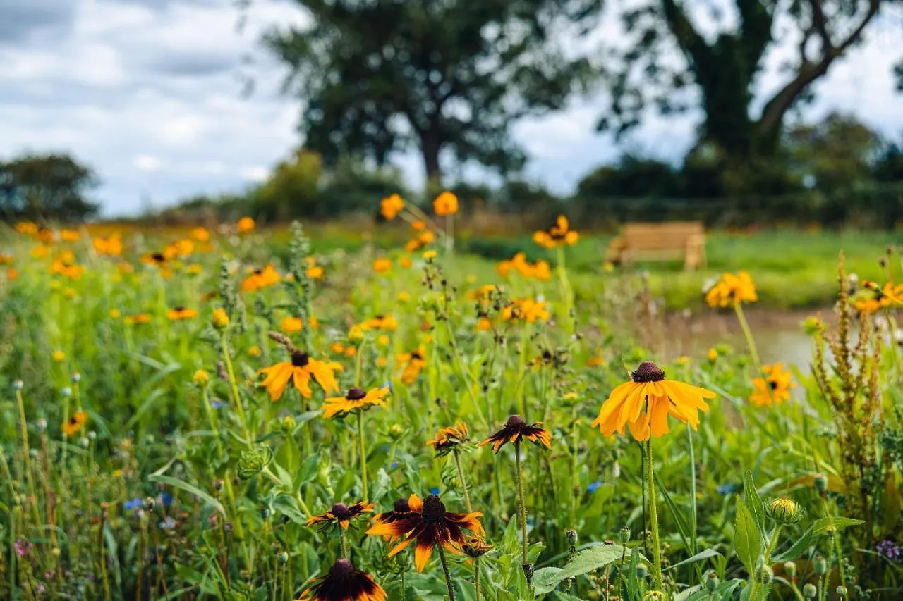 Vakantiehuis Andrus - Mayflower Meadow Brandesburton Verenigd Koninkrijk