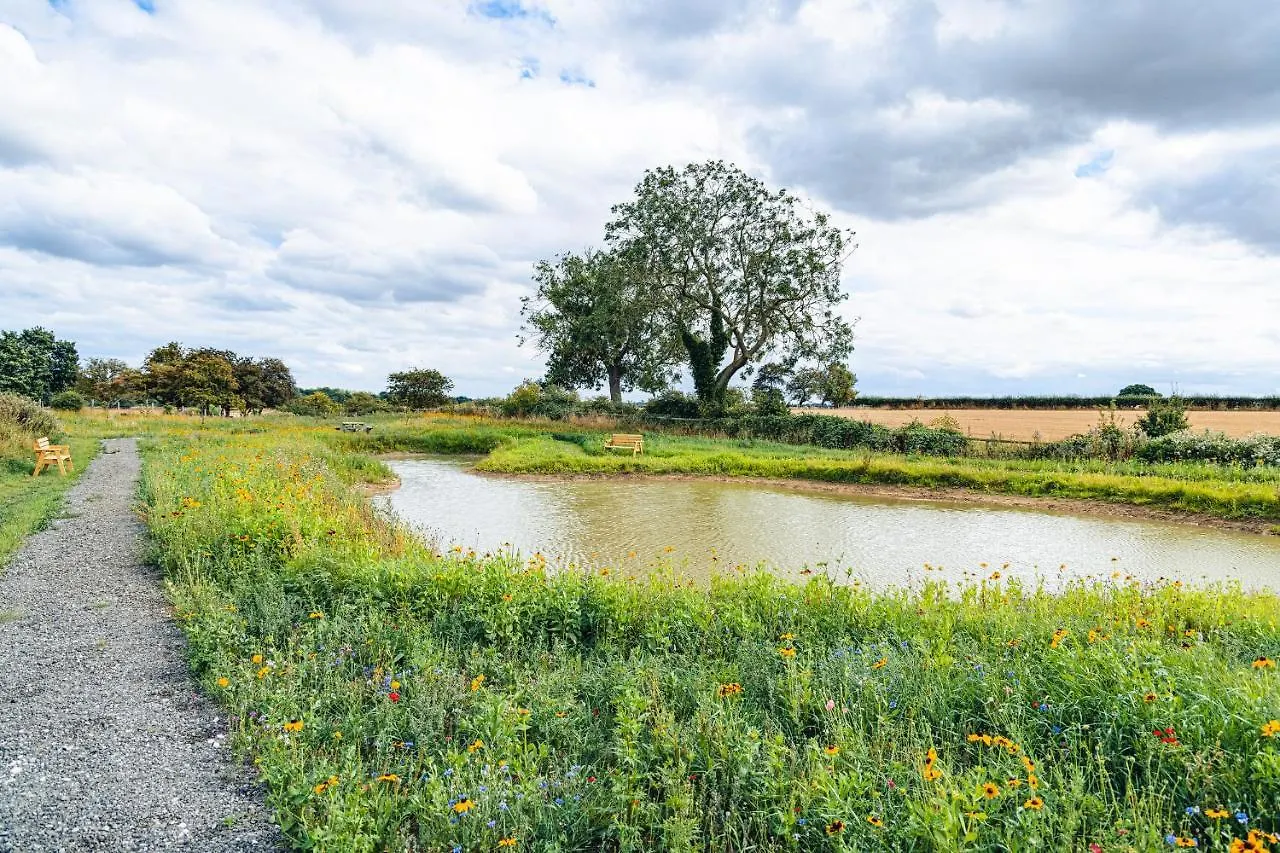 Andrus - Mayflower Meadow Brandesburton
